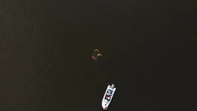 三个朋友游泳，夏天在一个大水湖上划船。白色摩托艇停泊在附近，水在阳光下闪烁。顶角航空无人机螺旋全景