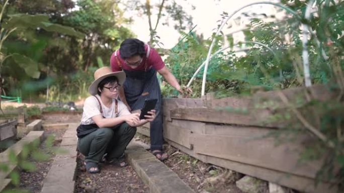 亚洲华人父亲使用数字平板电脑教儿子在后院花园里种菜。