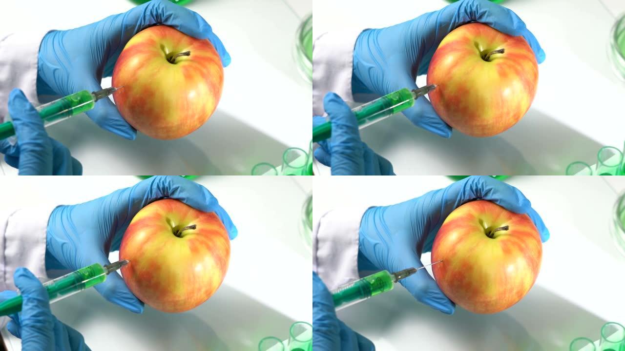 生物学家用注射器注射苹果。科学实验。