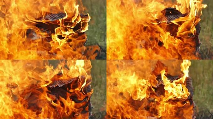 森林火灾火焰，烟云，草地火灾，农场，特写镜头