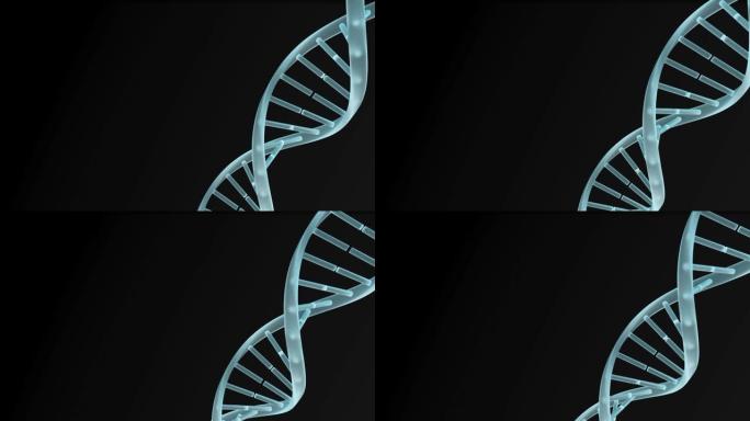 黑色背景下dna结构旋转的数字动画