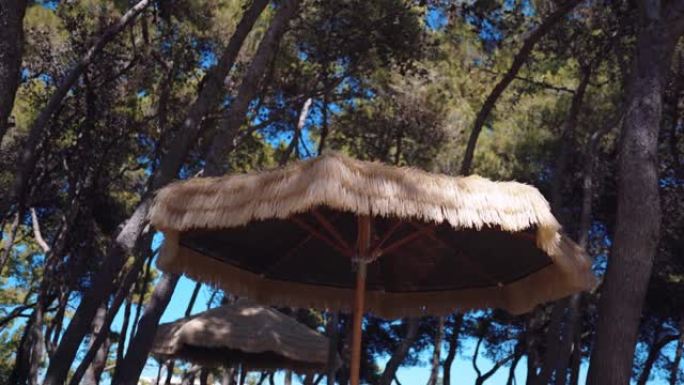 大型草伞在令人惊叹的高树背景下在微风中挥舞，沙滩草伞在海滩和酒店下免受阳光直射和人的皮肤炎症