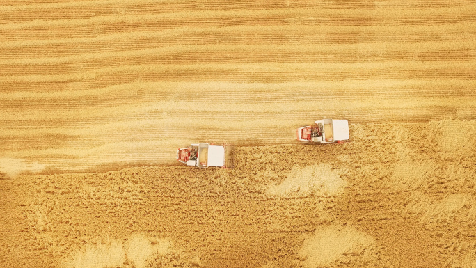 [10镜头]麦田航拍丰收收割机农民