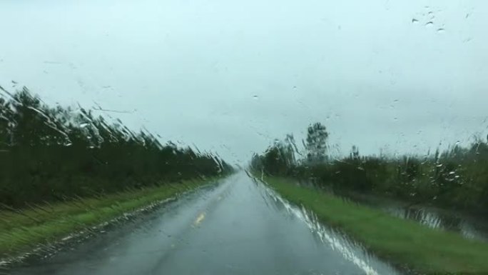 司机在令人眼花rain乱的雨中沿着林道观看，直到刮水器出现