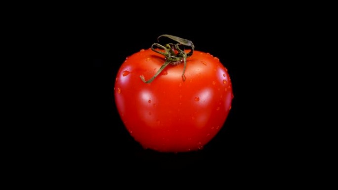 黑色背景上的红色完美番茄。4K新鲜结实的番茄。