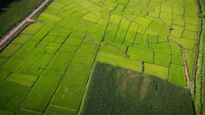 鸟瞰图的农业领域广袤大地大地耕田耕播