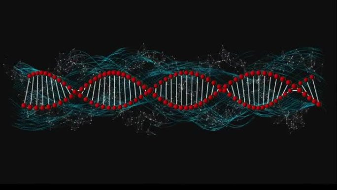 dna链在连接网络上旋转的动画