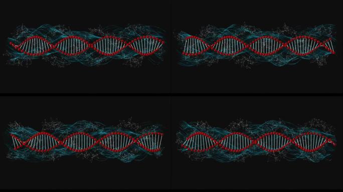 dna链在连接网络上旋转的动画