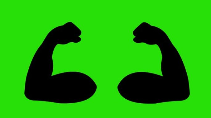 在色度绿色背景上收缩二头肌的手臂的黑色轮廓的循环动画