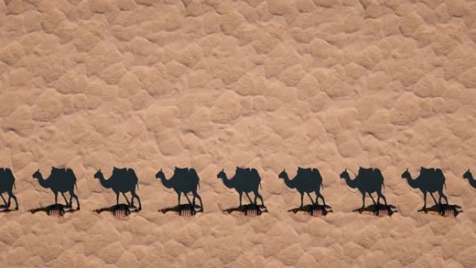 骆驼商队走过沙漠投下阴影，俯视。