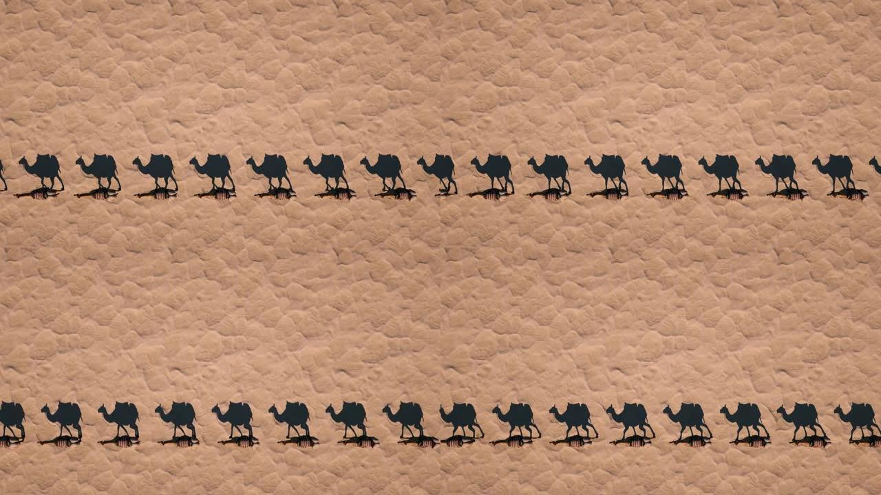 骆驼商队走过沙漠投下阴影，俯视。