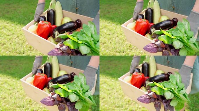 蓝色郡的农夫妇女拿着装有蔬菜的木箱