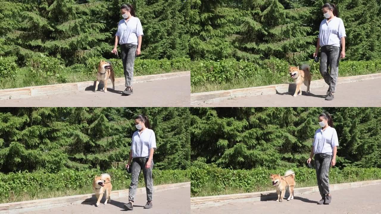 赤芝犬与主人在夏季公园散步。新型冠状病毒肺炎期间在公园戴着宠物面具的年轻女子