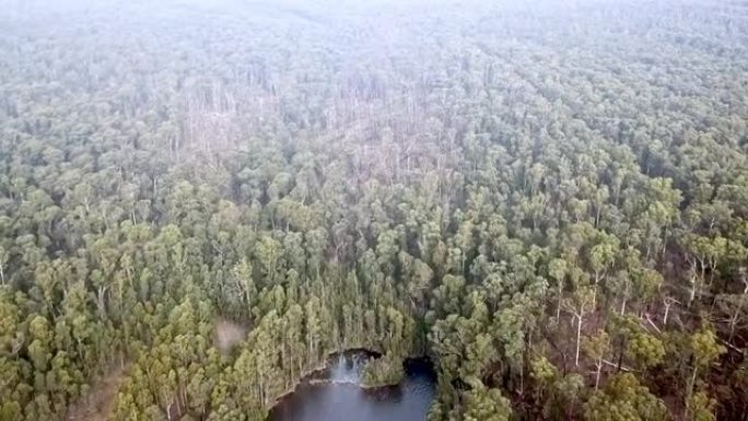 在澳大利亚维多利亚州2021的6月10日，一场暴风雨过后，无人机拍摄了布拉斯托袋熊溪大坝附近倒下树木