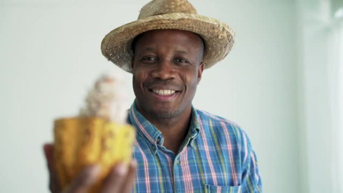 非洲黑人农民在农场拿着成熟的可可果实。