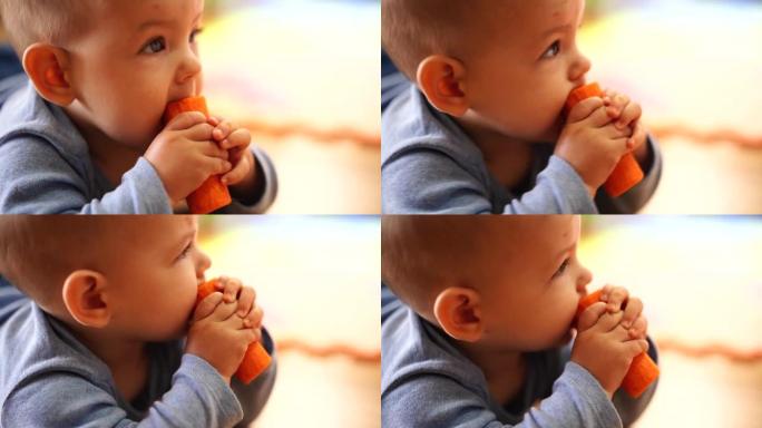 婴儿手里拿着一根胡萝卜，啃着它