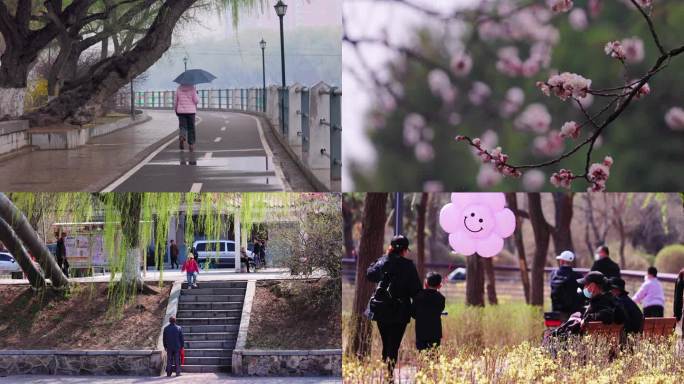 2023年 沈阳 雨天 晴天 桃花 4k