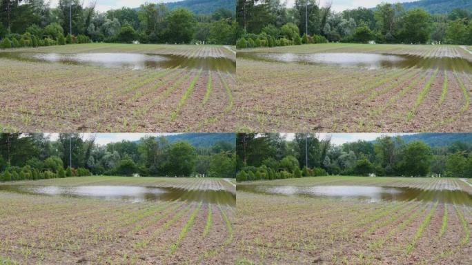 洪水、洪水附近的河流、水电、大坝墙、电站/视频