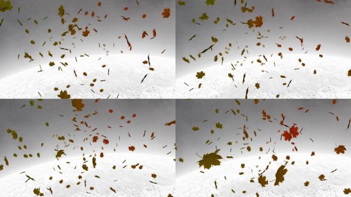 背景中漂浮在冬季景观下的多个秋天枫叶的数字动画