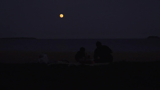 夜晚海边沙滩视频素材