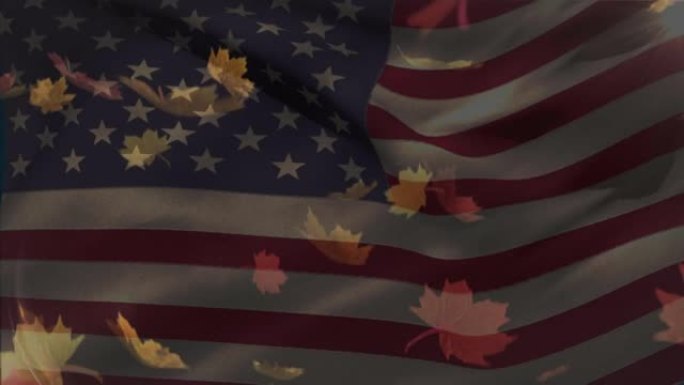 美国国旗和树叶掉落上的数据处理动画