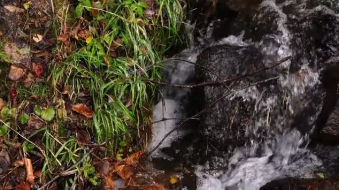 泉水森林海氧吧瀑布溪流水