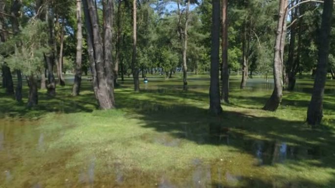 在伊弗登湖附近的洪水森林公园旅行-空中