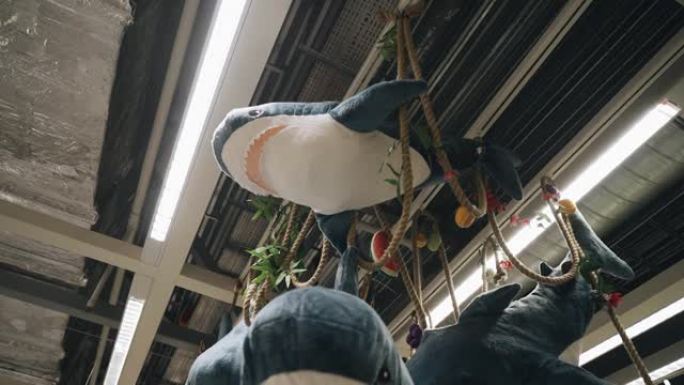 毛绒鲨鱼玩具挂在装饰房间的天花板上。有趣的安装