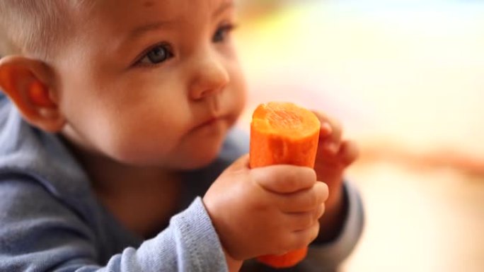 小孩用手咬胡萝卜