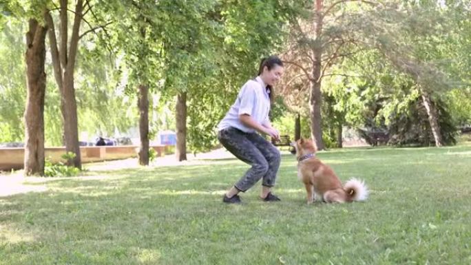 赤芝犬与主人在夏季公园散步