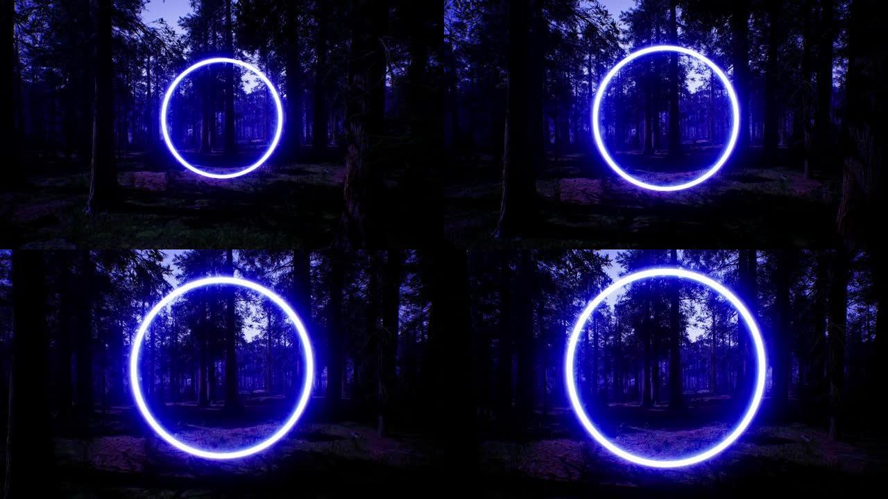 夜间森林中发光的蓝色圆圈光