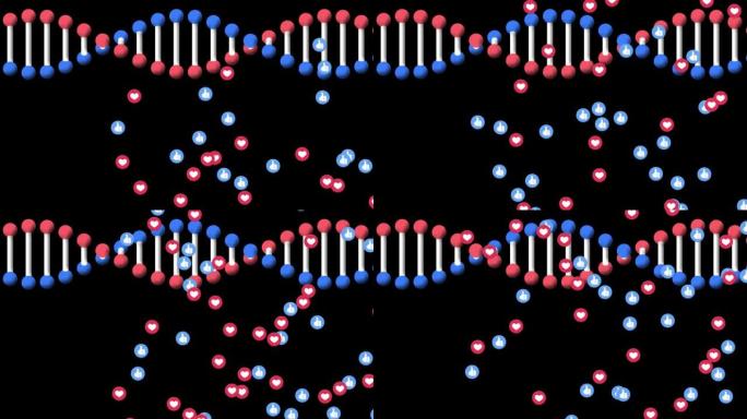 多个心脏和类似图标漂浮在黑色背景上的dna结构上旋转