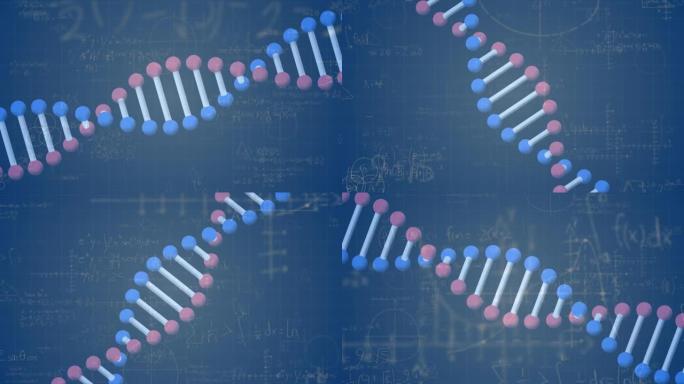 dna链上数学方程的动画