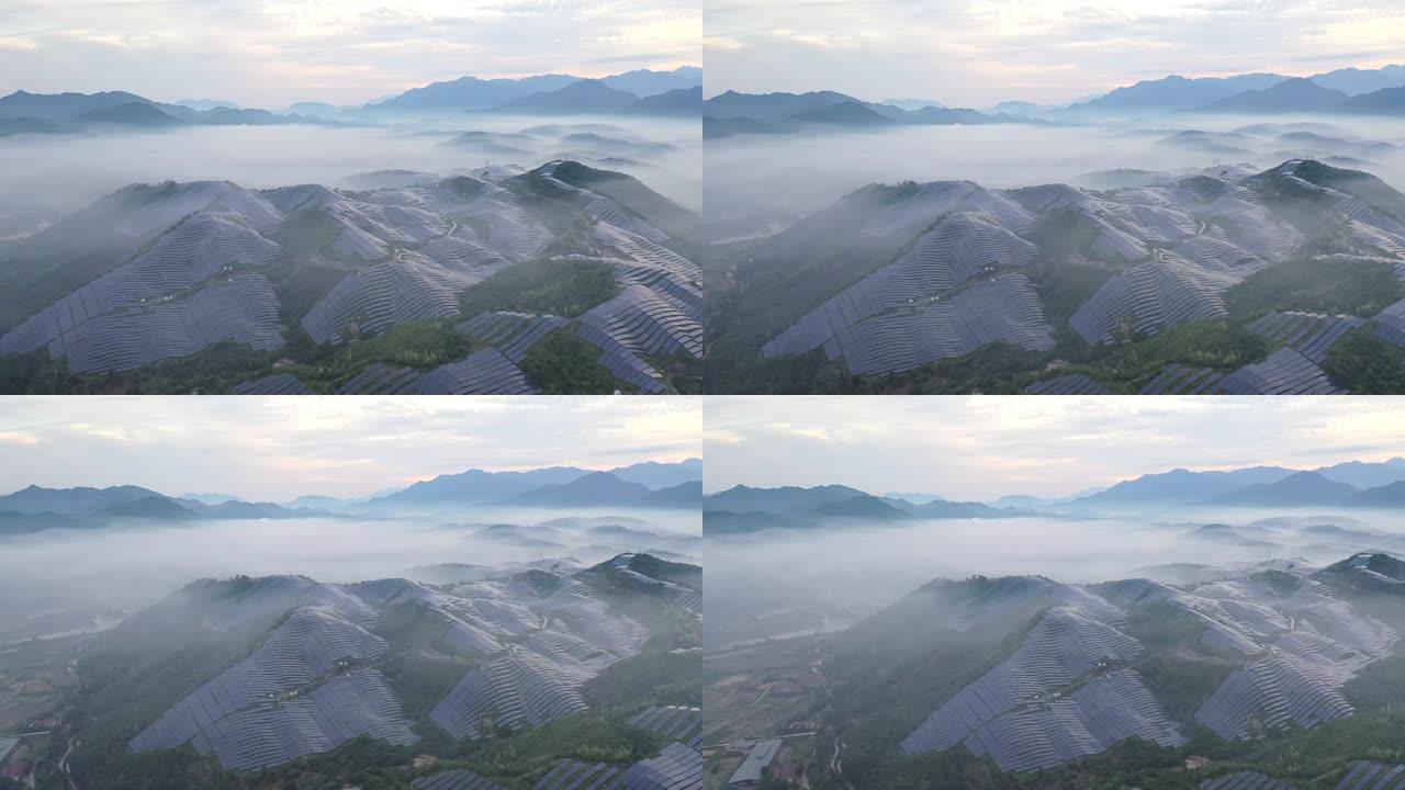 山上有雾的太阳能发电厂的高角度视图
