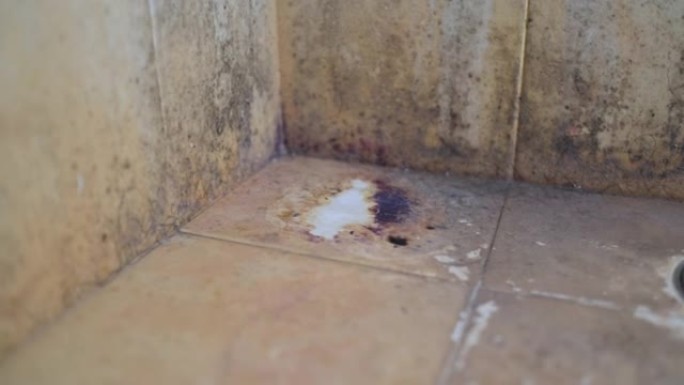 不干净的浴室地板污渍，有地衣和脏污渍，清洗后瓷砖接缝上仍然有一些痕迹