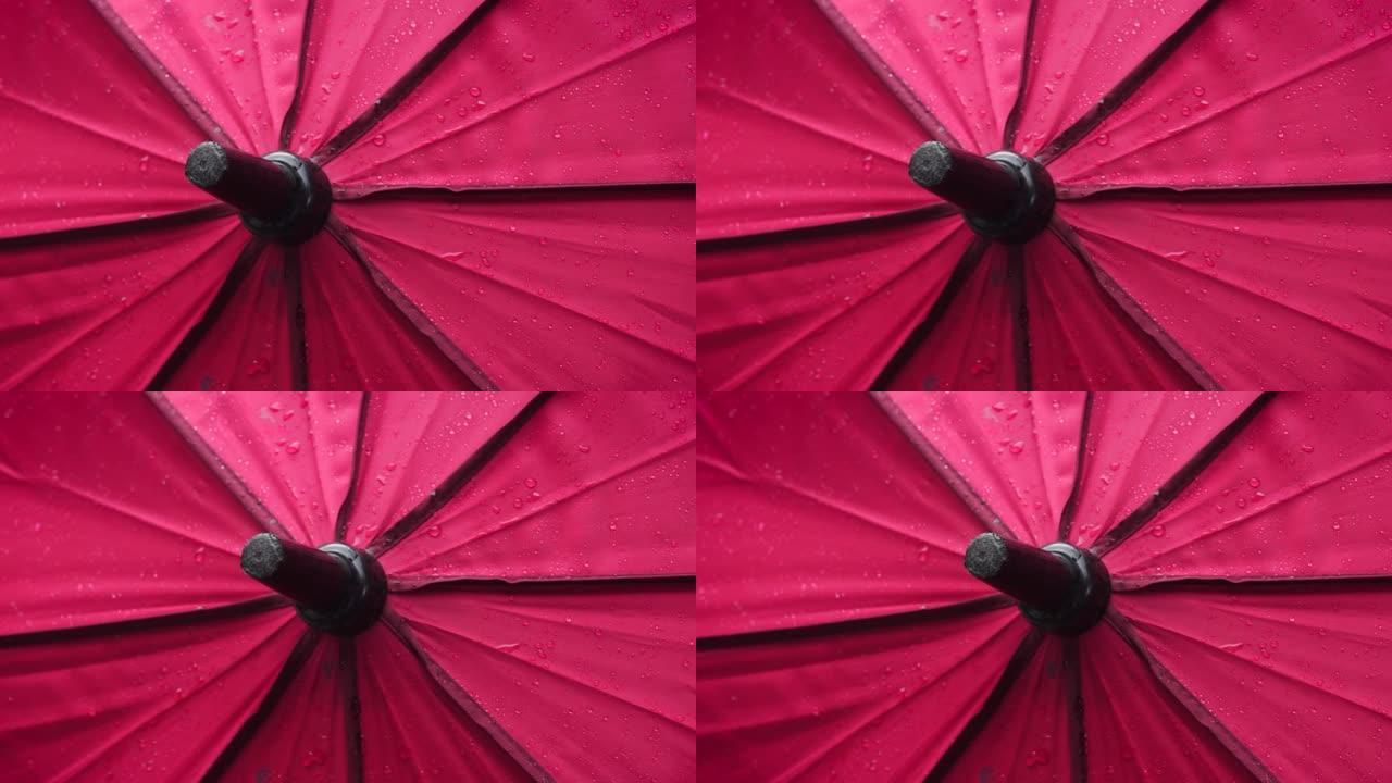 大雨过后，关闭了湿红伞的镜头。