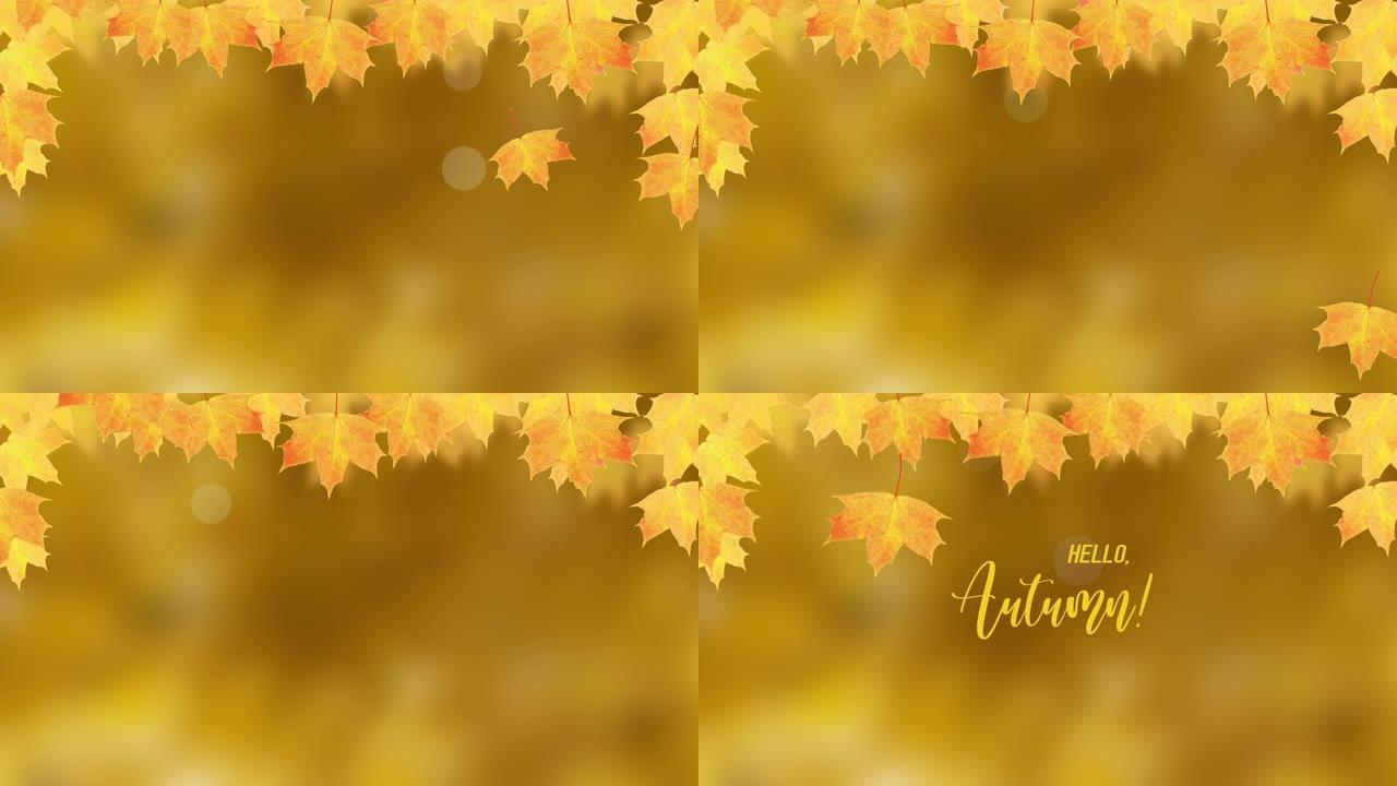 秋天的叶子秋天的枫叶和文字你好秋天的自然背景
