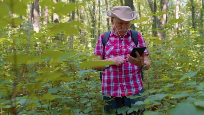 退休的老年祖父冒险家用她的数字平板电脑探索森林树木和植物