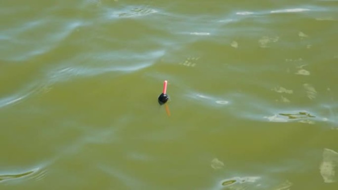 钓鱼时在水中钓竿的浮子。水中的漂浮物表明鱼正在咬人。钓鱼爱好概念。4k分辨率视频