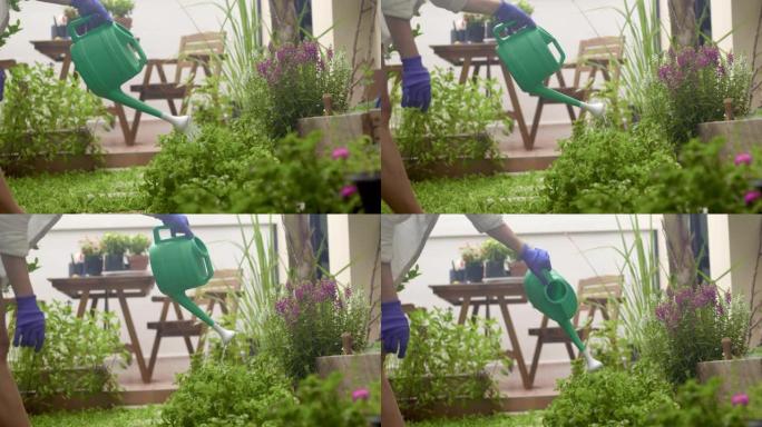 在户外倒水种植。在家中的园艺和装饰