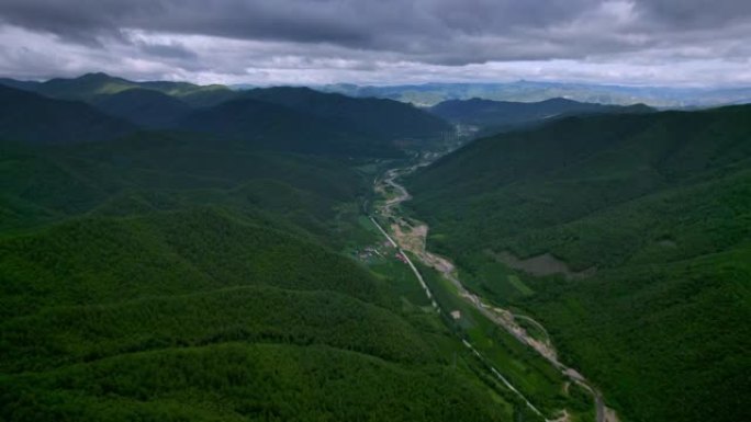 巨大的松树森林村落田地青山绿树植树造林