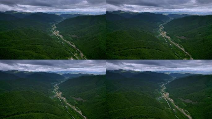 巨大的松树森林村落田地青山绿树植树造林