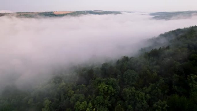 浓雾中的山林空中无人机视图。飞越云层。初夏早晨，平静的背景，放松，地球之美，自然概念