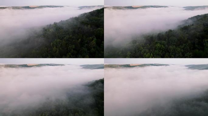 浓雾中的山林空中无人机视图。飞越云层。初夏早晨，平静的背景，放松，地球之美，自然概念