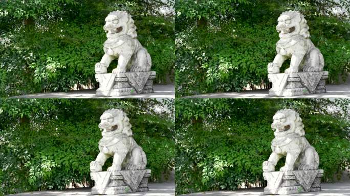 中式园林里阳光下的石狮子