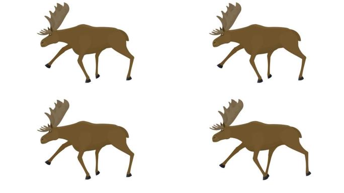 麋鹿。动物驼鹿的动画。卡通