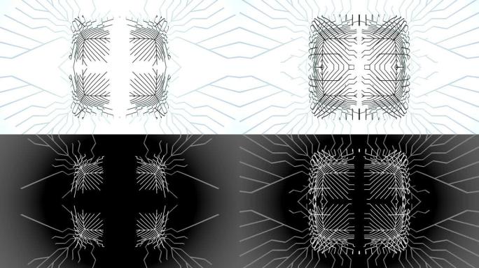 4k抽象黑色线框在白色bg分支上的计算。Ai不断增长的线、节点和交叉点的几何图案。通过人工智能或神经