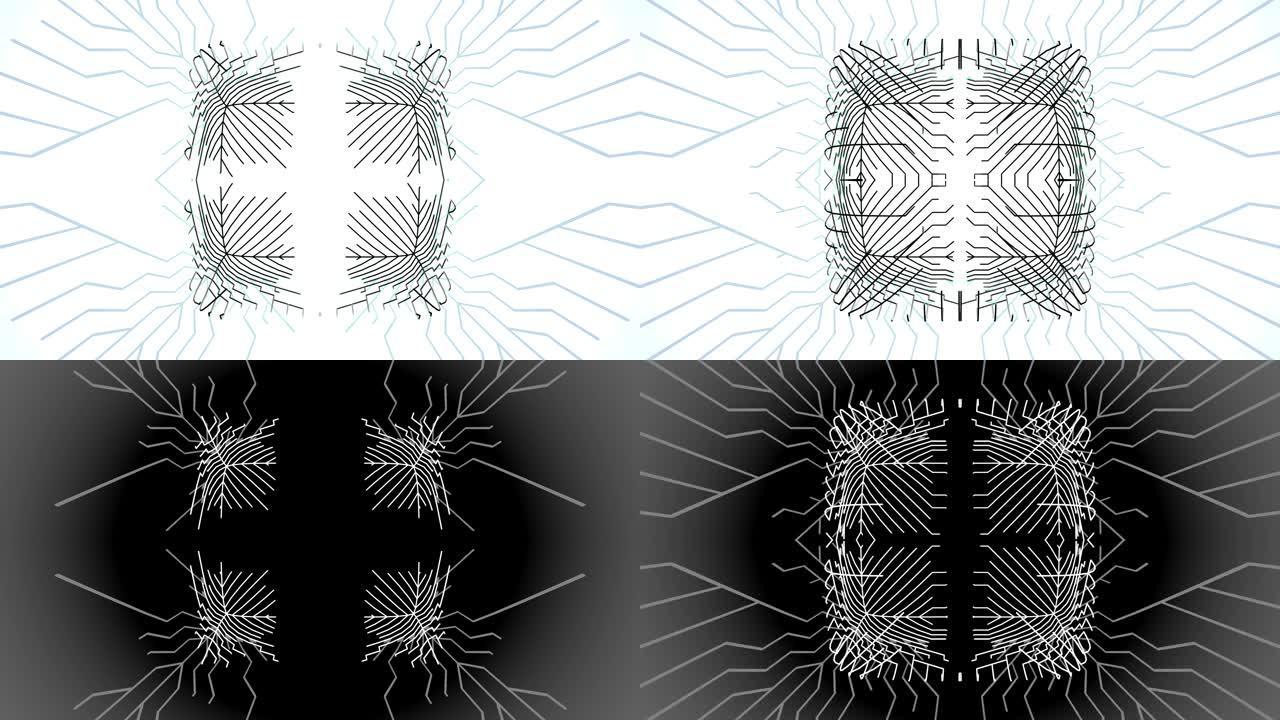 4k抽象黑色线框在白色bg分支上的计算。Ai不断增长的线、节点和交叉点的几何图案。通过人工智能或神经