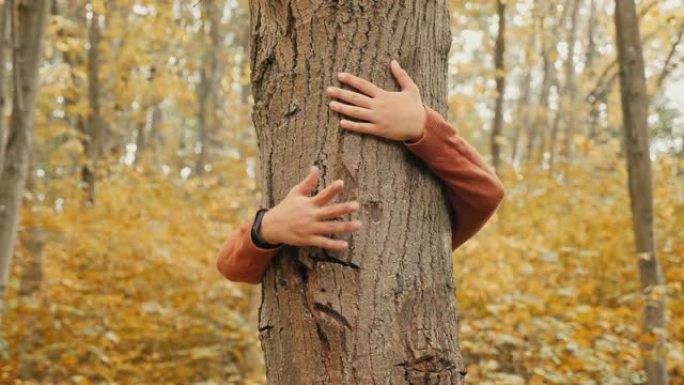 女孩在秋天的森林中拥抱树干