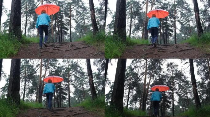带着红色雨伞行走的成熟女人在雨中享受森林